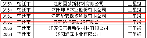 江蘇華安橡膠科技有限公司獲得了三星級上云企業(yè)的認可。該公司以其自主品牌“國新”、“國豪”、“華安”而聞名，目前正積極推進上市工作，為其在數(shù)字化領(lǐng)域的發(fā)展提供了更多的機會。
