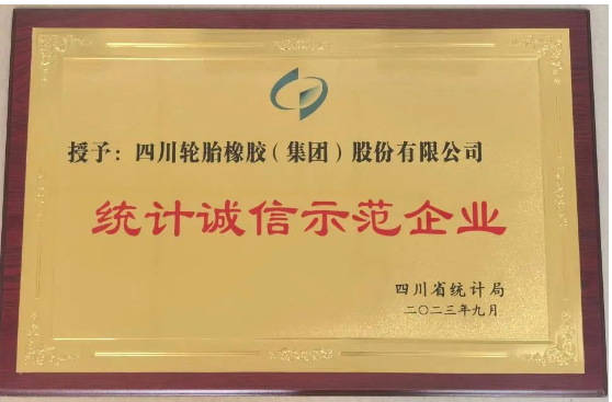 四川輪胎橡膠(集團(tuán))股份有限公司表示將繼續(xù)堅(jiān)持依法統(tǒng)計(jì)、誠信統(tǒng)計(jì)的原則，準(zhǔn)確收集數(shù)據(jù)，如實(shí)統(tǒng)計(jì)，真實(shí)反映經(jīng)營成果，為公司“十四五規(guī)劃”和長期穩(wěn)步健康發(fā)展提供有力支撐，為國家數(shù)據(jù)統(tǒng)計(jì)提供真實(shí)素材。