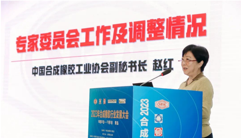 中國合成橡膠工業(yè)協(xié)會秘書長趙紅詳細介紹了專家委員會的工作情況和新一屆專家委員會的組成。會長梁愛民為專家委員會主任委員張立群院士頒發(fā)了聘書，標志著專家委員會的正式成立。