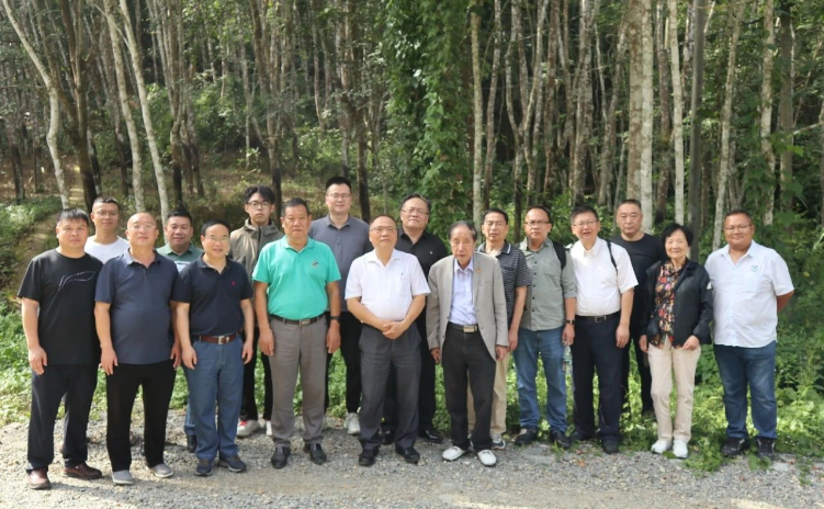 通過(guò)這次活動(dòng)，與會(huì)單位收獲頗豐。首先是增強(qiáng)了大家的自信并認(rèn)清了合作的重要性。而后項(xiàng)目完成推廣，對(duì)實(shí)現(xiàn)年減少二氧化碳排放量約219萬(wàn)噸、國(guó)家碳中和戰(zhàn)略具有重大作用。最后也希望得到國(guó)家相關(guān)部門的關(guān)注和支持。