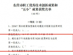 耐斯特超長途子午線輪胎專用N205炭黑項(xiàng)目榮獲桂冠