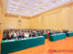 2024年合成橡膠行業(yè)發(fā)展大會及熱塑性彈性體行業(yè)分論壇圓滿召開