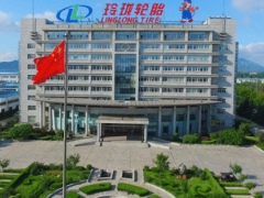玲瓏集團總裁王琳詳述：企業(yè)如何應(yīng)對全球挑戰(zhàn)與機遇