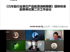 《力車胎行業(yè)單位產(chǎn)品能源消耗限額》團(tuán)體標(biāo)準(zhǔn)起草單位第二次工作會(huì)議線上召開