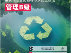 賽輪集團(tuán)在CDP評(píng)級(jí)中脫穎而出，斬獲“B級(jí)”佳績(jī)