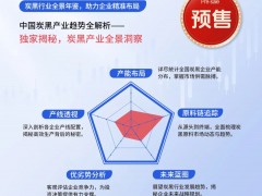 預(yù)售 | 2025版中國炭黑行業(yè)年鑒