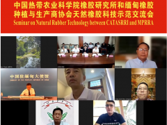 哇塞！瀾湄橡膠項(xiàng)目2024“成績(jī)單”亮眼